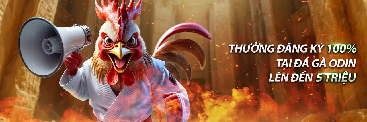 Sân đá gà C1 Thomo với không khí sôi động